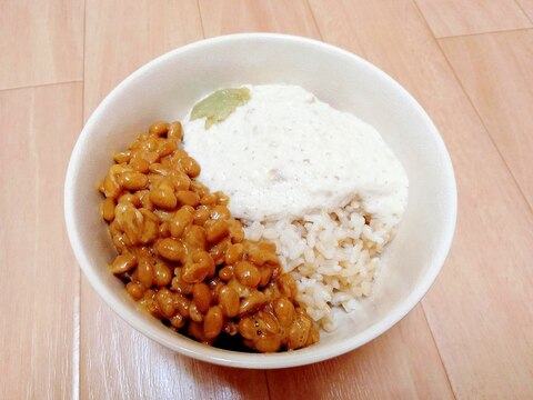 ミキサーですりおろす！山の芋とろろのネバネバ丼